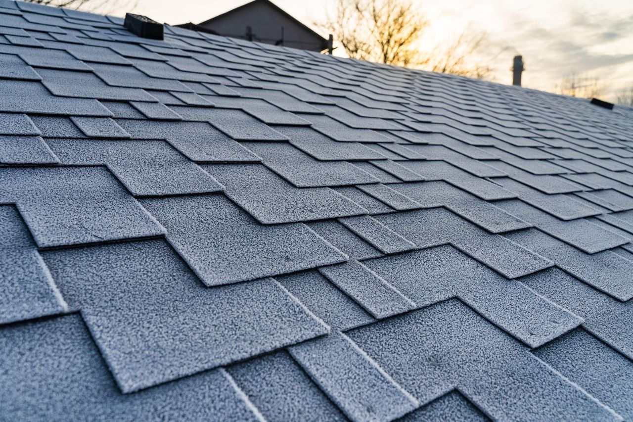 Roof Leak - Texas-Specific Considerations