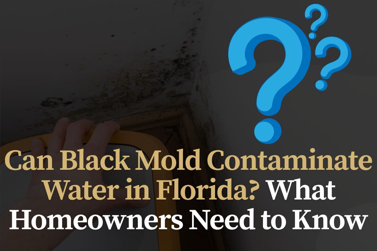 Can Black Mold Contaminate Water in Florida? What Homeowners Need to Know