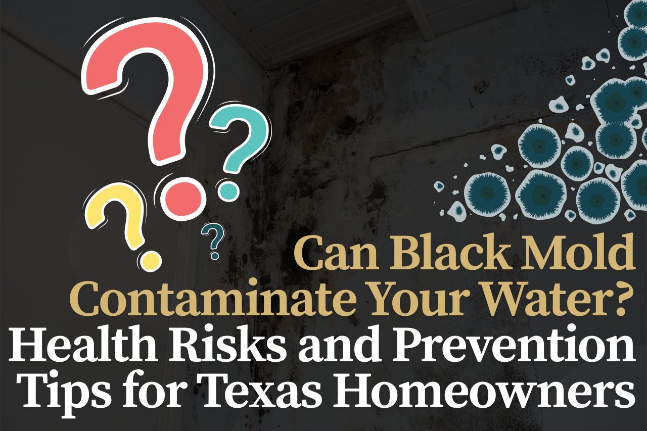 Can Black Mold Contaminate Your Water? Health Risks and Prevention Tips for Texas Homeowners