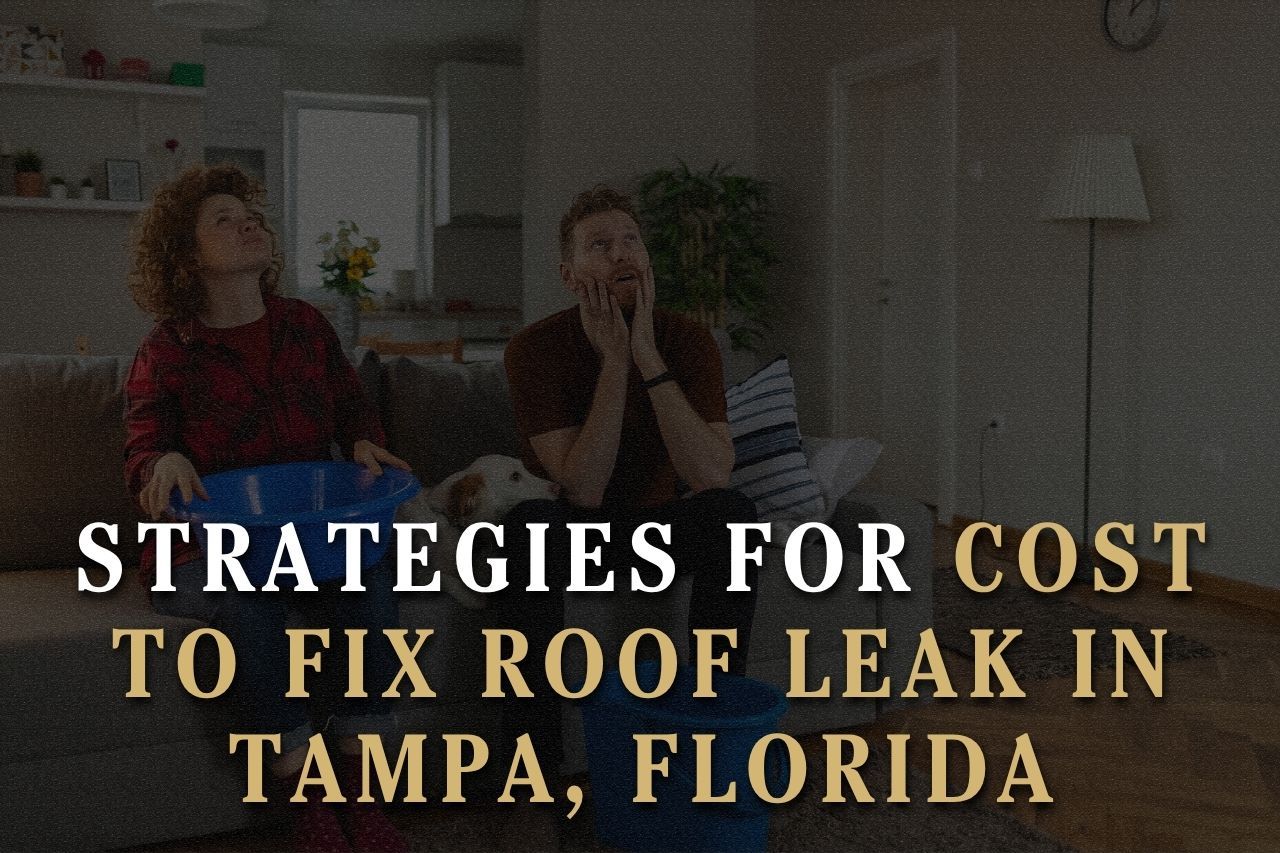 Strategies for Cost to Fix Roof Leak in Tampa, Florida