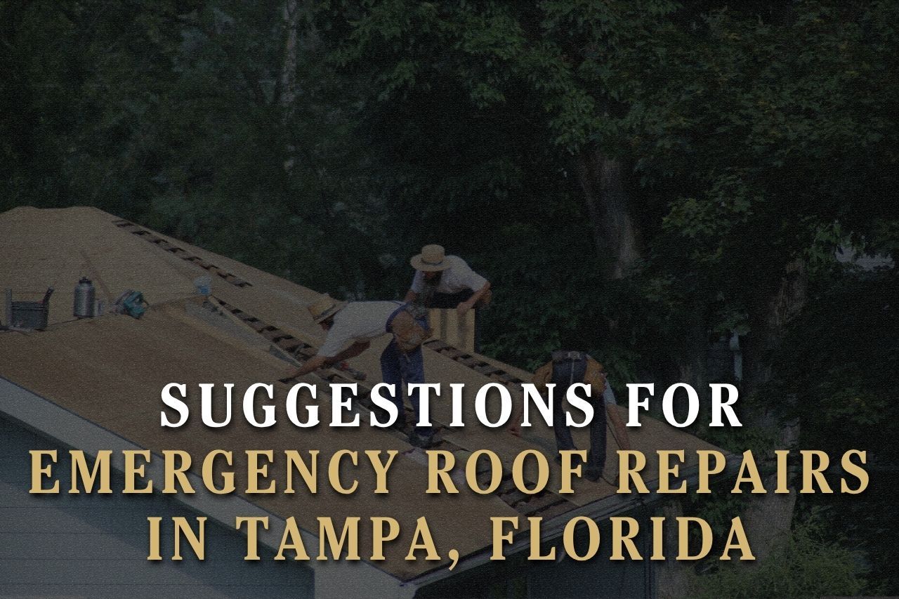 Suggestions for Emergency Roof Repairs in Tampa, Florida