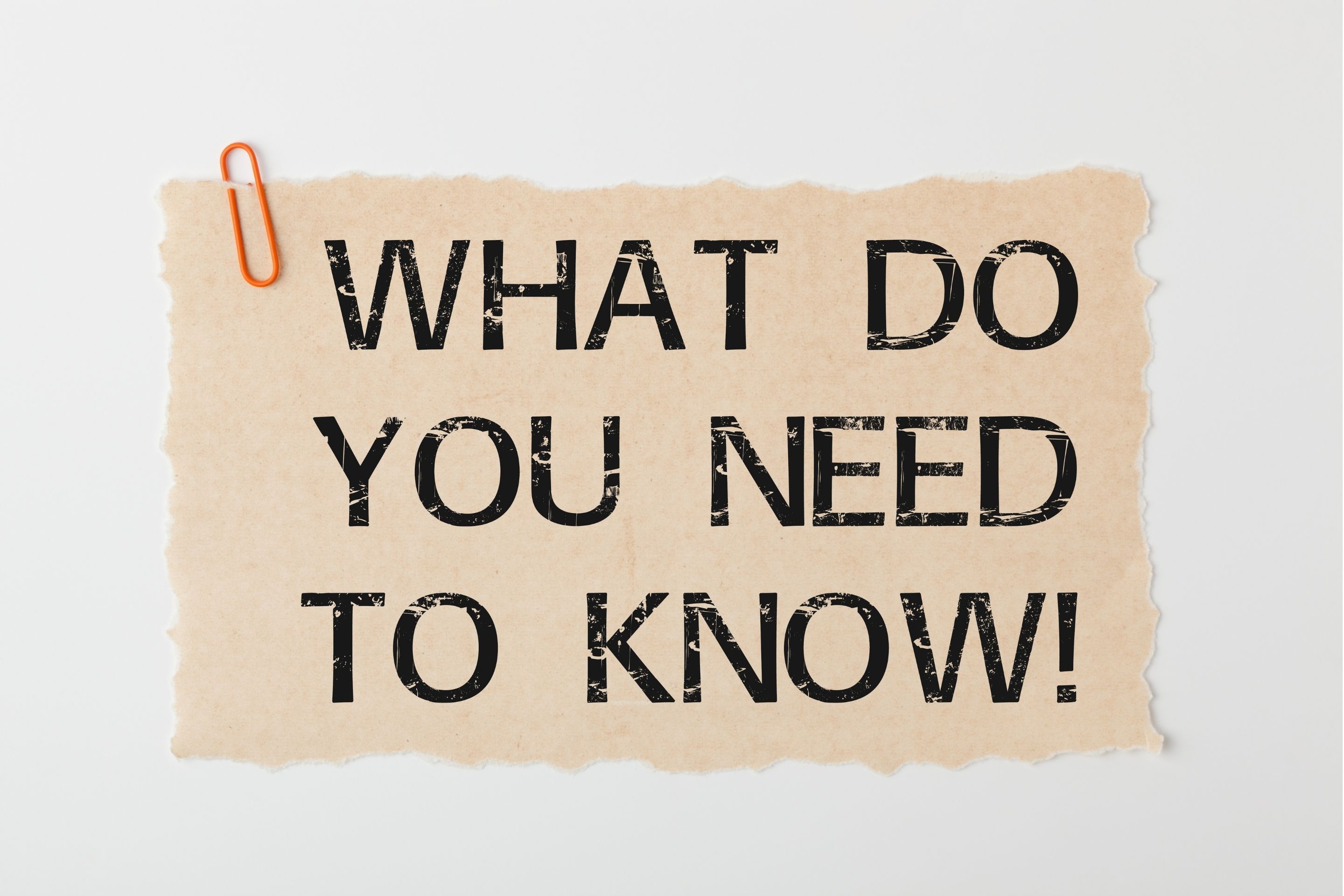 Employment Law in Florida: What You Need to Know