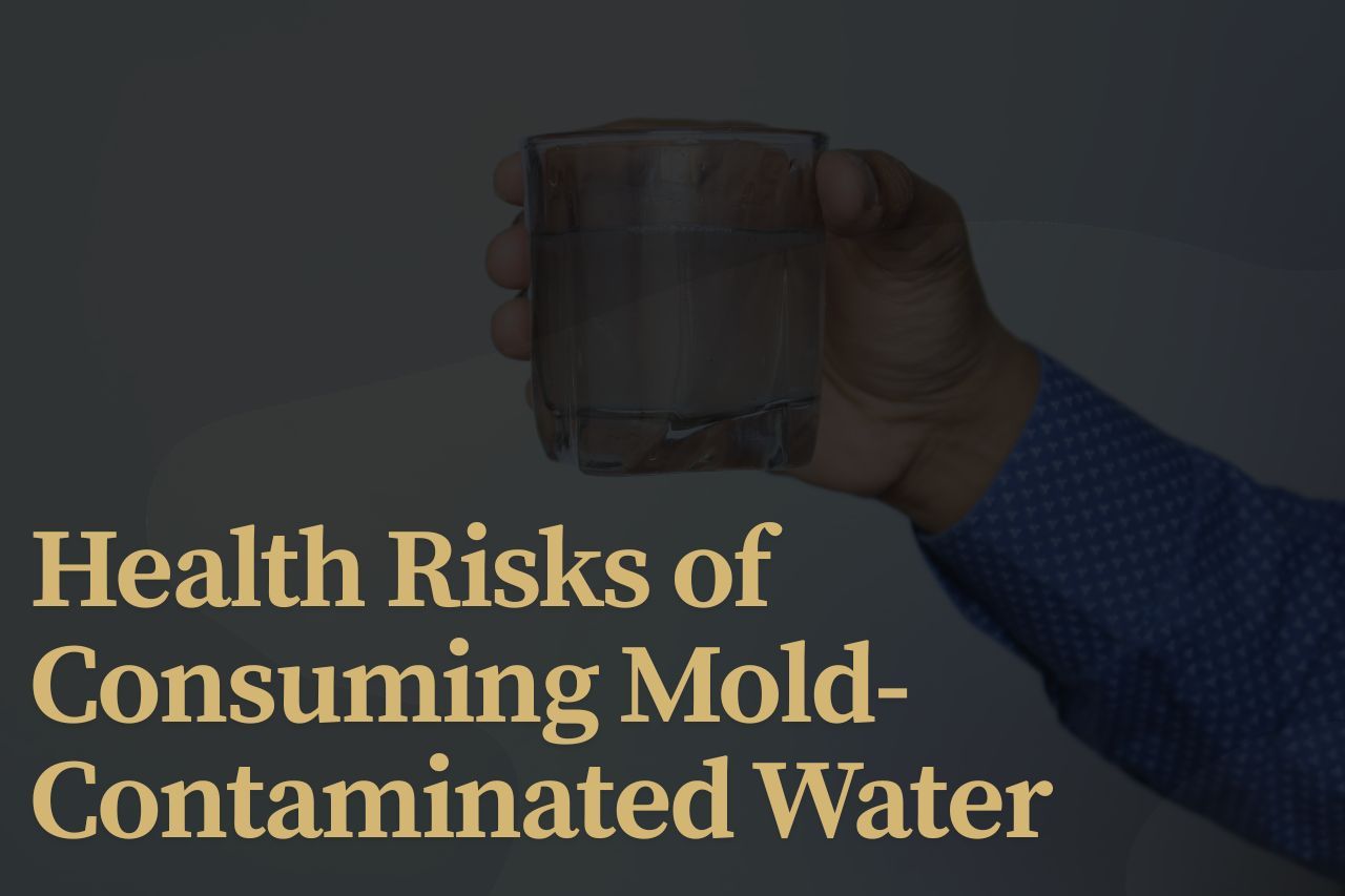 Health Risks of Consuming Mold-Contaminated Water