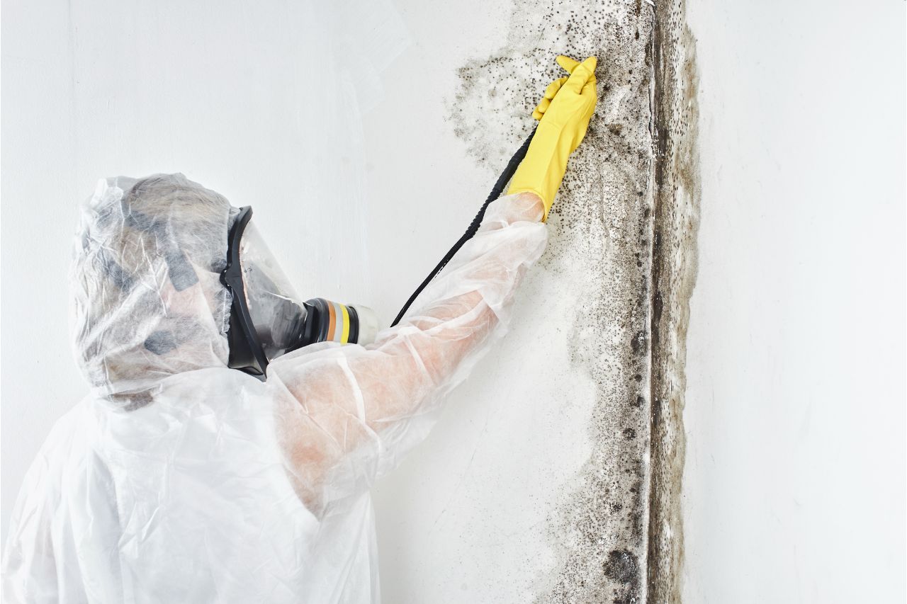 House Water Removal