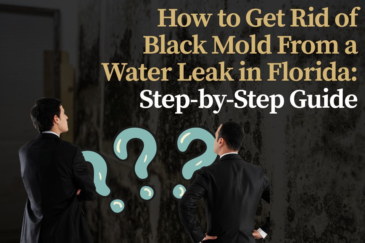How to Get Rid of Black Mold From a Water Leak in Florida: Step-by-Step Guide