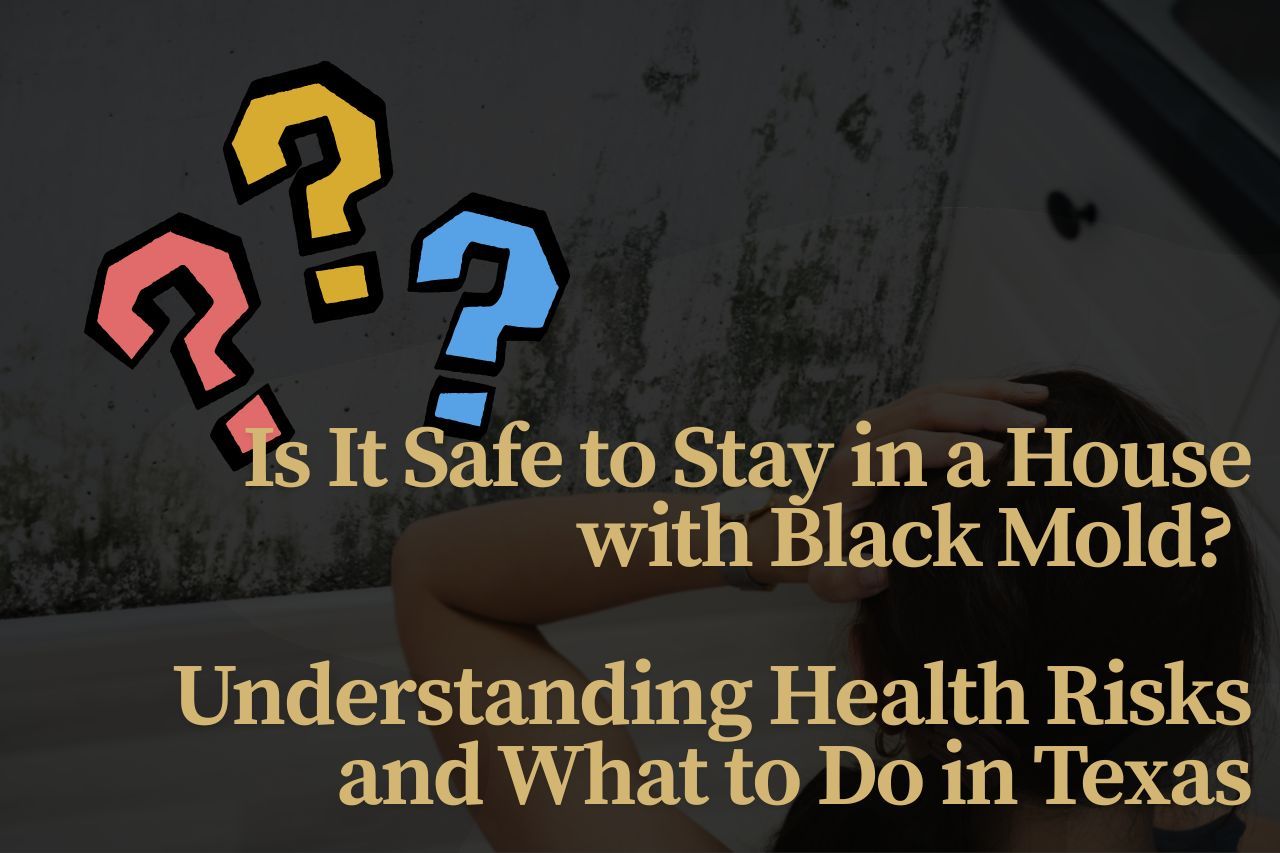Is It Safe to Stay in a House with Black Mold? Understanding Health Risks and What to Do in Texas