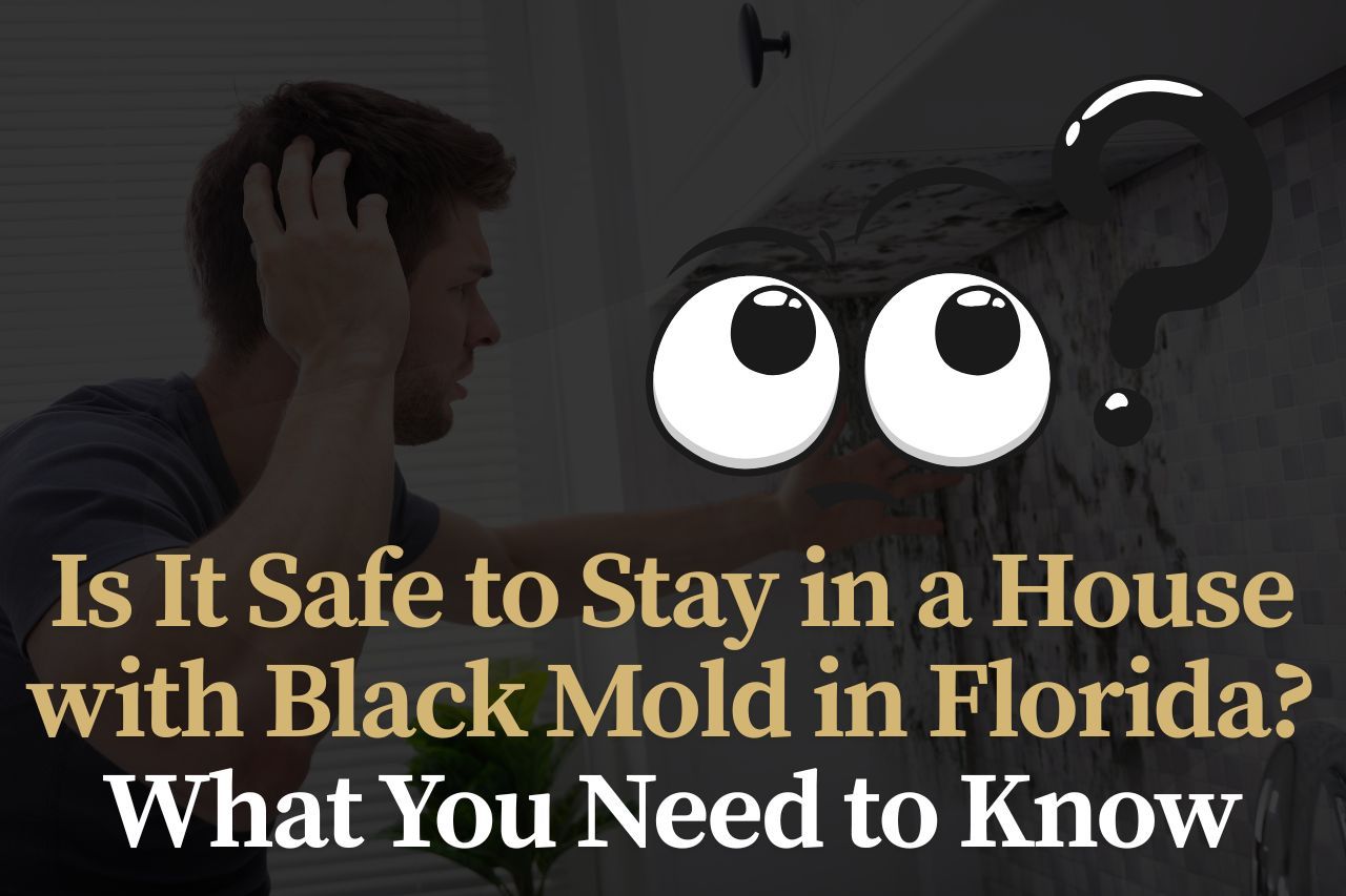 Is It Safe to Stay in a House with Black Mold in Florida? What You Need to Know