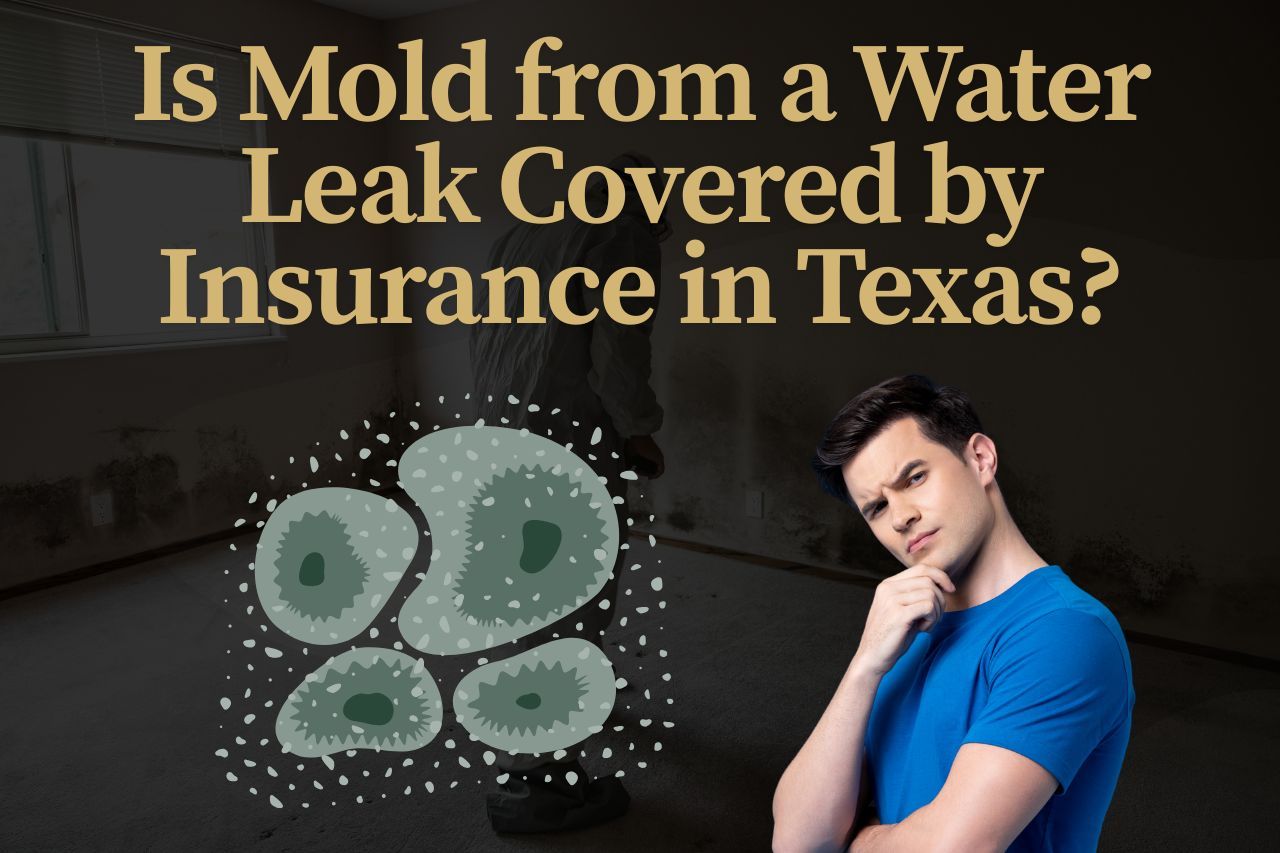 Is Mold from a Water Leak Covered by Insurance in Texas?