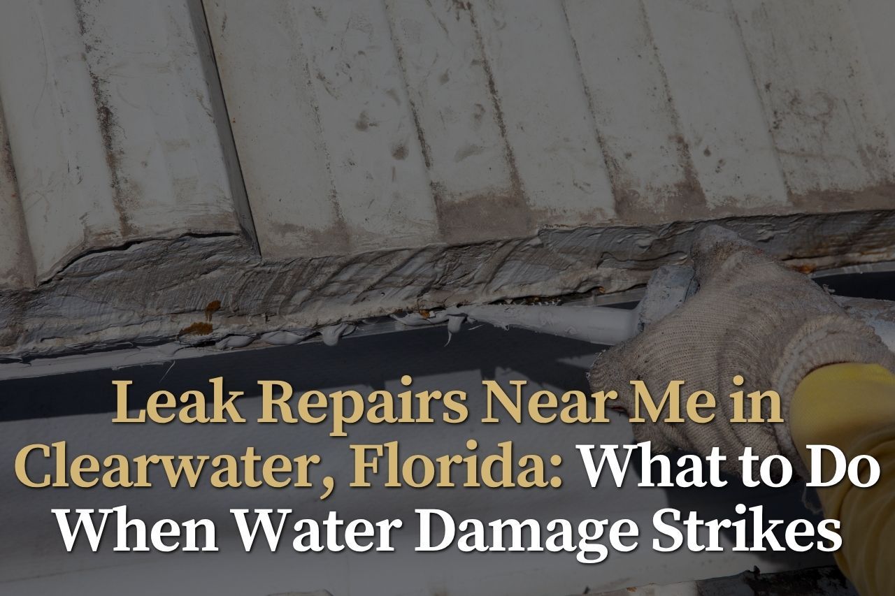 Leak Repairs Near Me in Clearwater, Florida: What to Do When Water Damage Strikes