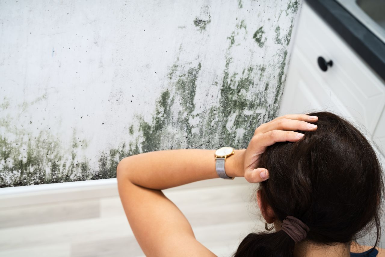 Mold - Warning Signs That You Need Roof Leak Repair