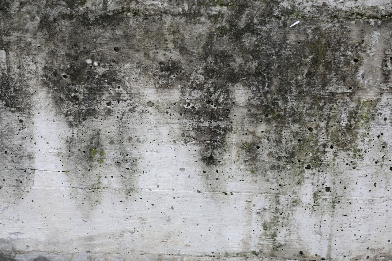 Mold