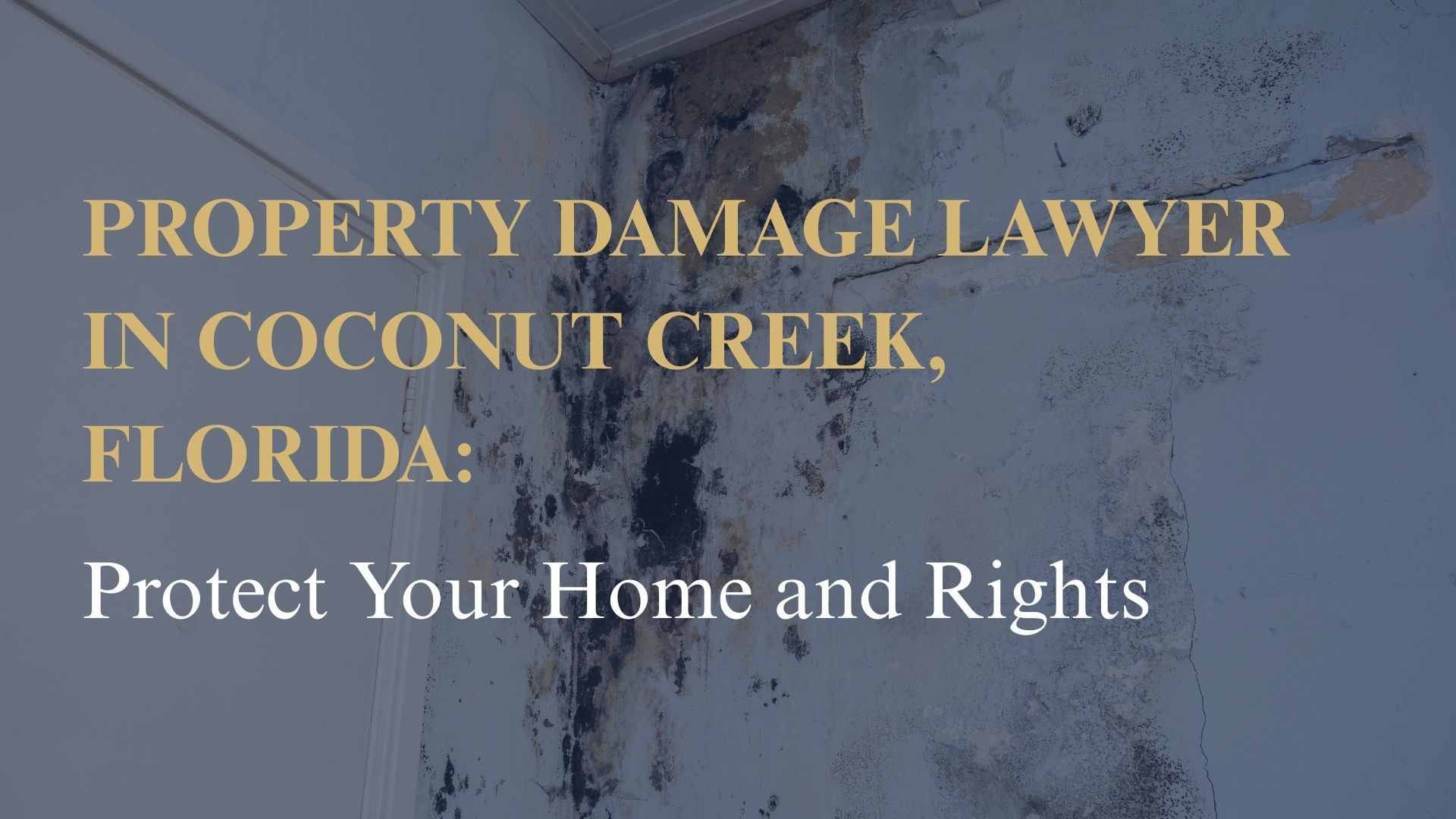 Property Damage Lawyer in Coconut Creek, Florida Protect Your Home and Rights