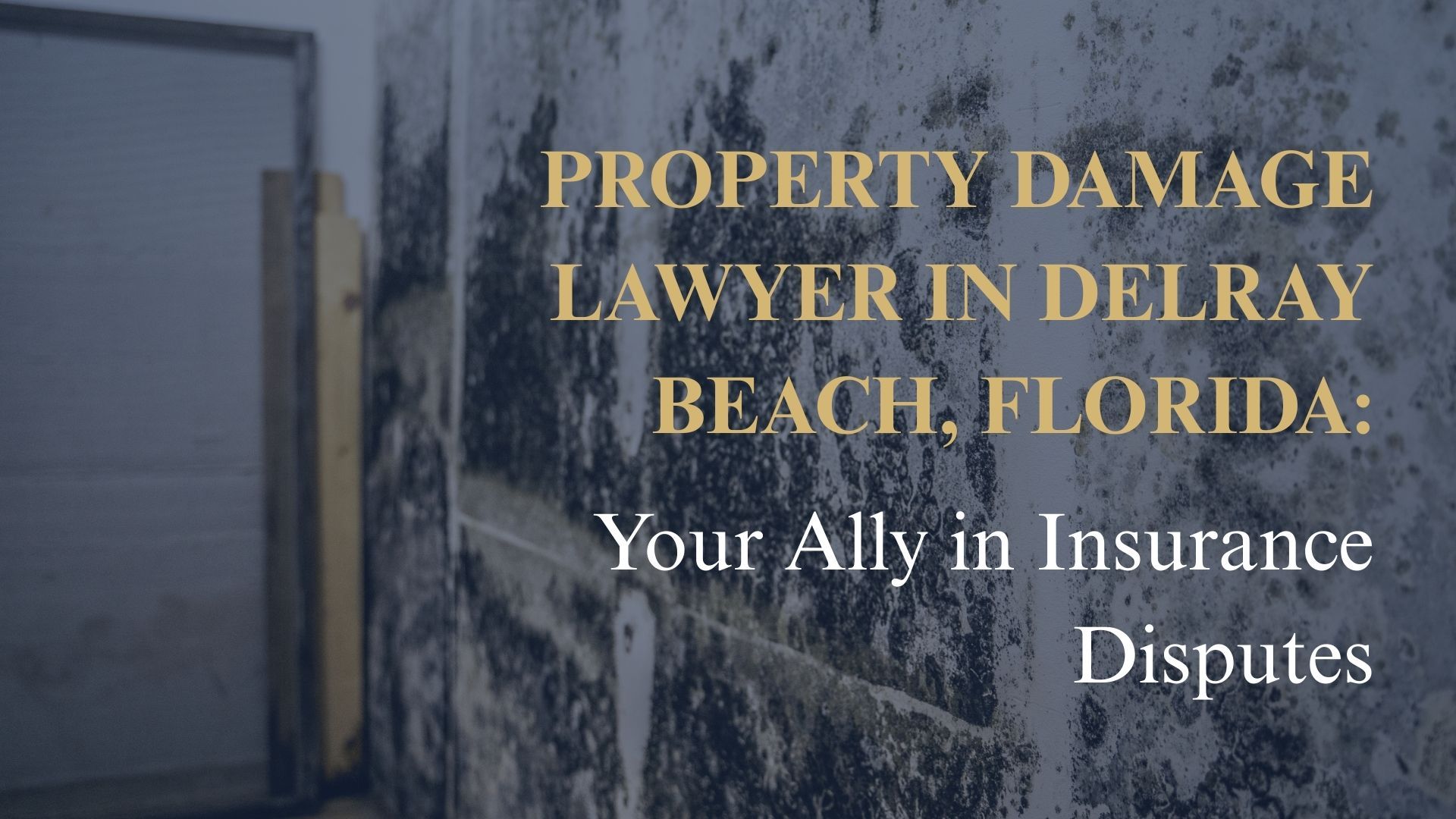 Property Damage Lawyer in Delray Beach, Florida: Your Ally in Insurance Disputes
