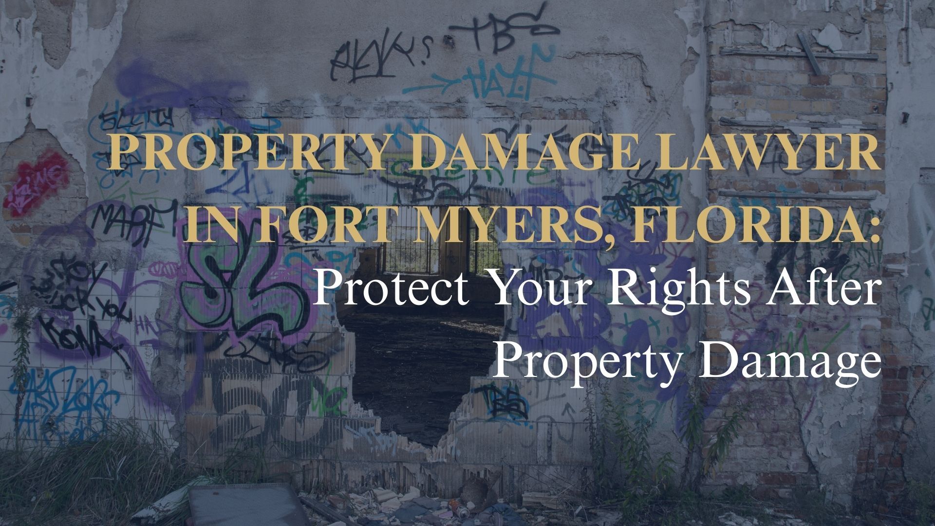 Expert Property Damage Lawyer in Fort Myers, Florida | Louis Law Group