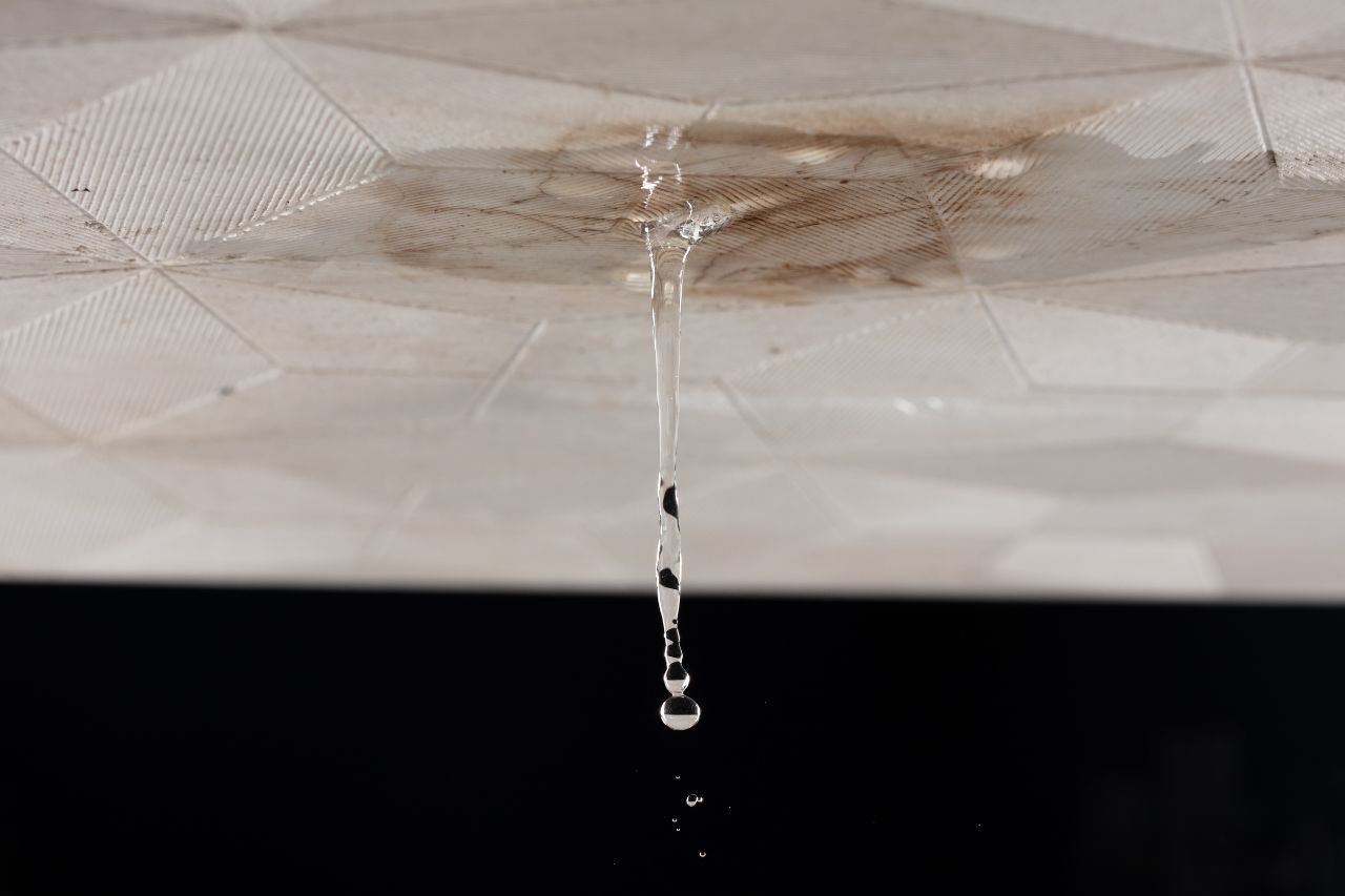 Signs Your Roof May Be Leaking in Houston, Texas
