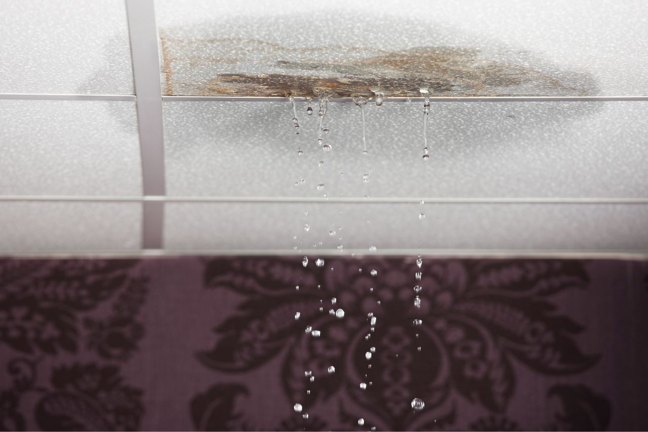 Introduction In Florida, where humidity is high and storms are frequent, water leaks are a common issue. Unfortunately, when leaks aren’t addressed quickly, they can lead to the growth of black mold—a serious health hazard and a costly home repair issue. Black mold thrives in damp, dark places and can spread rapidly within 24 to 48 hours. If you’ve discovered black mold from a water leak in your Florida home, quick and proper action is essential. In this guide, we’ll walk you through the steps to safely remove black mold, prevent it from returning, and protect your home and health. If you run into insurance problems or denial of your mold-related claim, Louis Law Group is here to help you fight for your rights. What Is Black Mold and Why Is It Dangerous? Black mold, or Stachybotrys chartarum, is a toxic type of mold that can grow indoors after water damage. It appears as dark green or black spots and often gives off a musty smell. It’s most commonly found behind walls, under floors, and near areas where water leaks occurred. Exposure to black mold can lead to: Allergic reactions (sneezing, coughing, skin rashes) Asthma flare-ups Respiratory infections Fatigue and headaches For people with weakened immune systems, exposure can be especially harmful. For more information, visit the Centers for Disease Control and Prevention's mold resource page. Step-by-Step Guide to Removing Black Mold in Florida