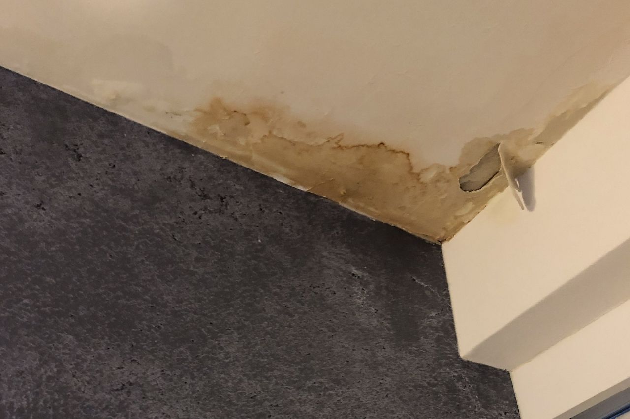 Common Causes of Roof Leaks in Garland