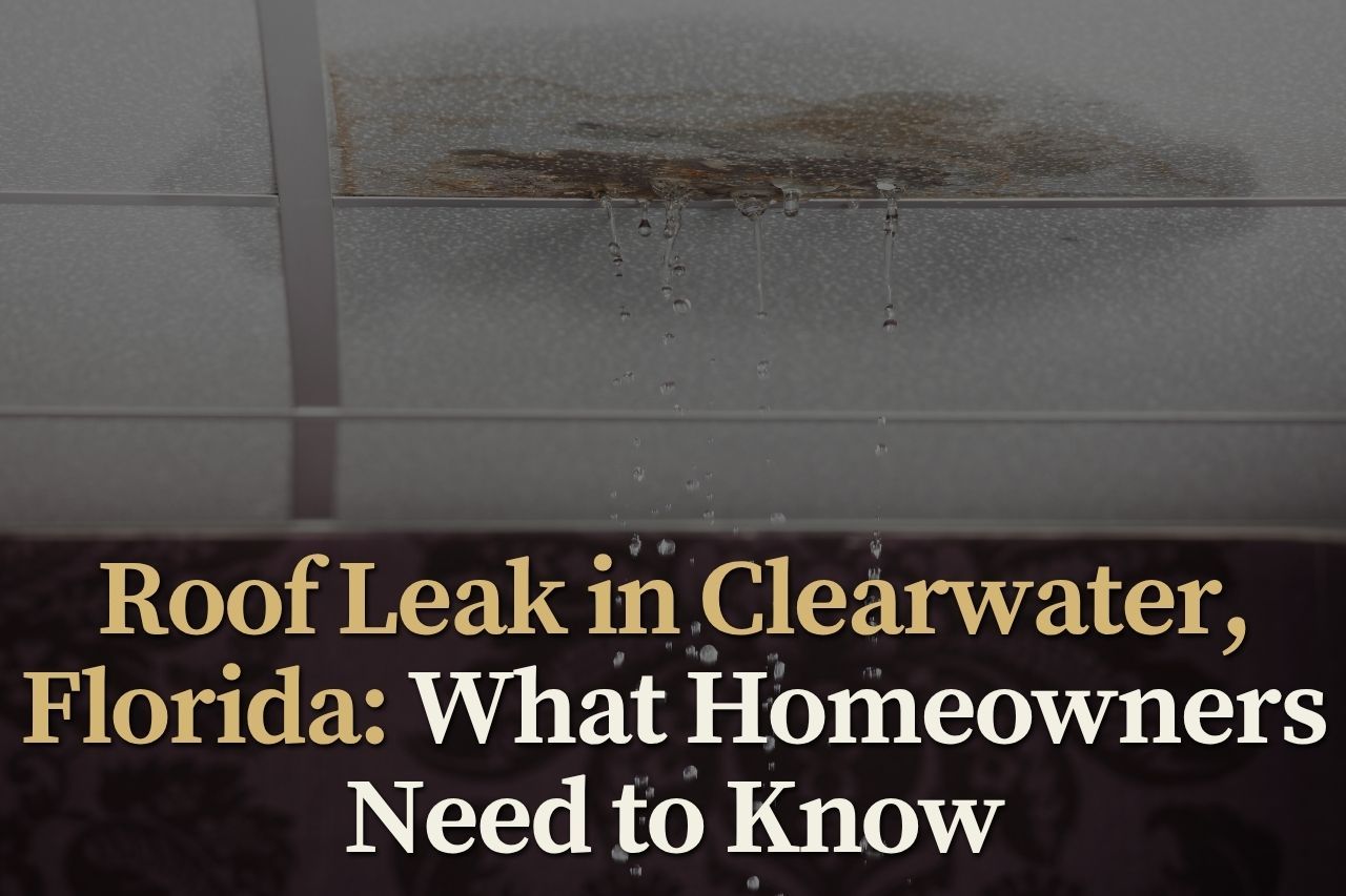 Roof Leak in Clearwater, Florida: What Homeowners Need to Know