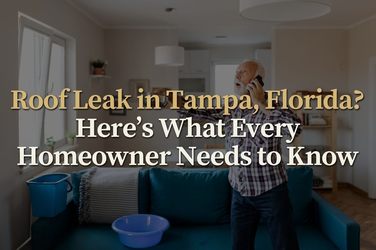 Roof Leak in Tampa, Florida? Here’s What Every Homeowner Needs to Know