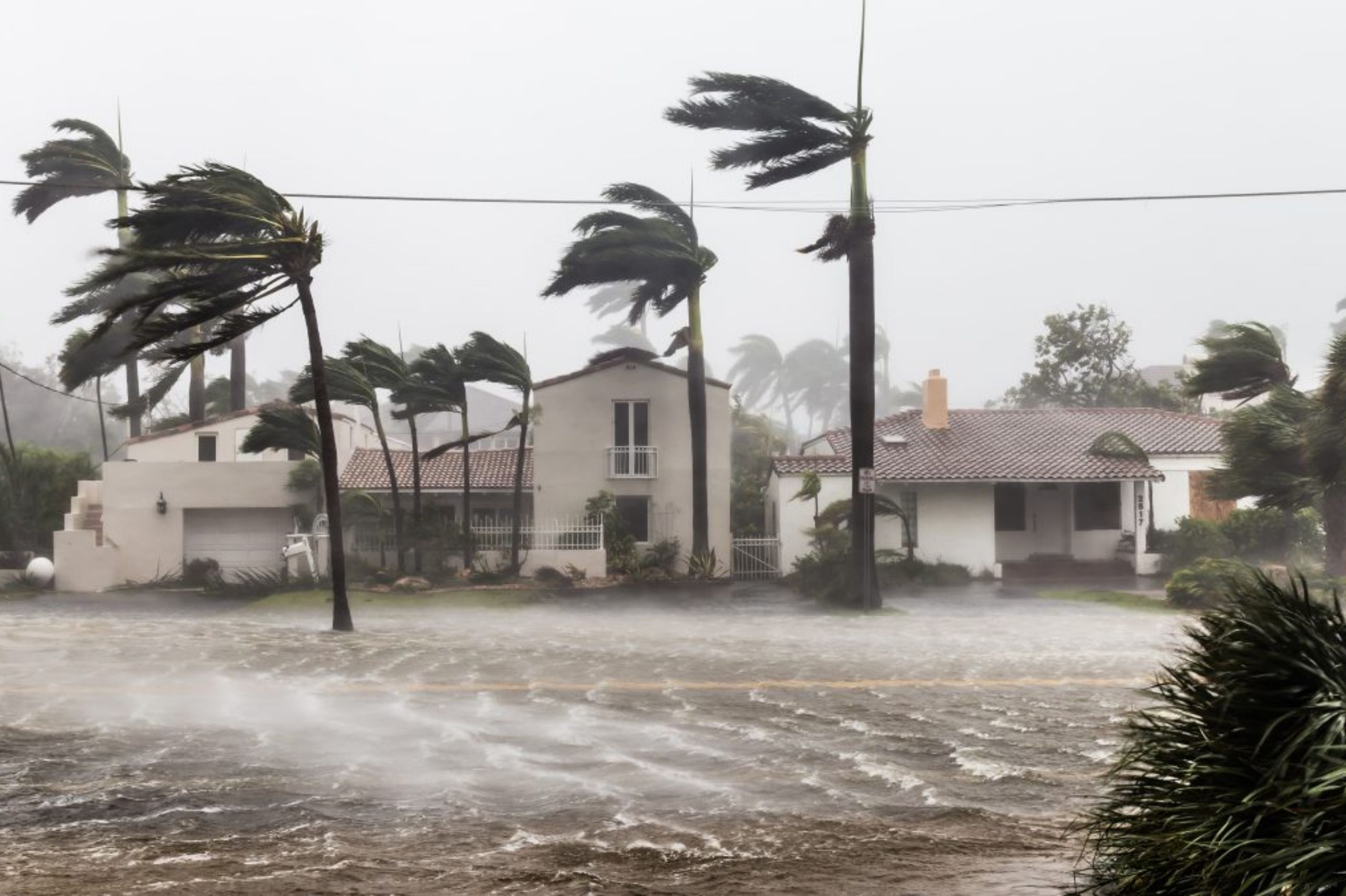 Ark Royal Insurance Impact of Hurricanes on Florida Insurance Companies