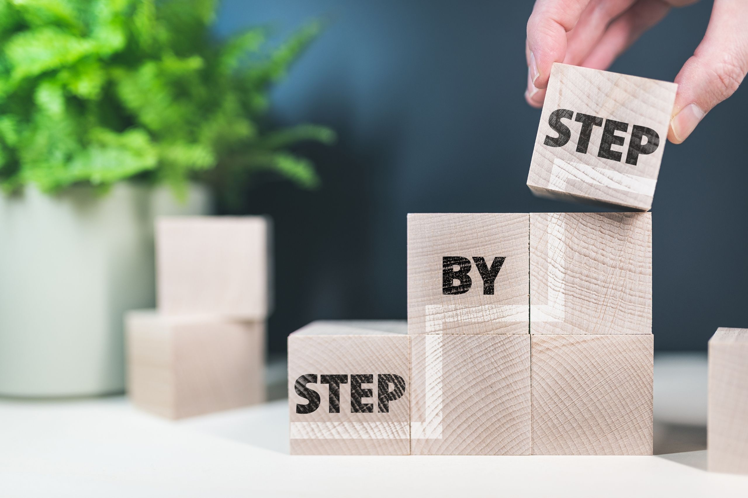 The Appeal Process