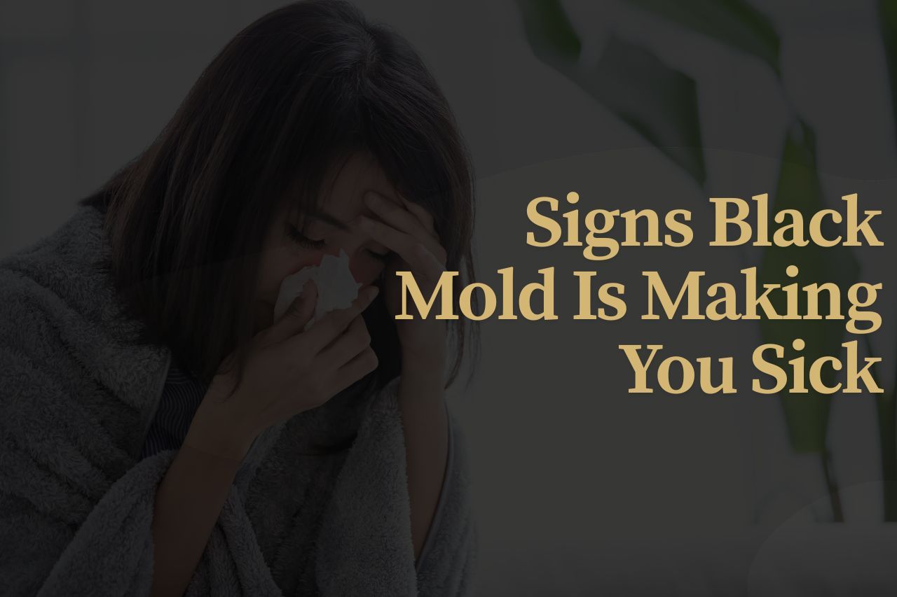 Signs Black Mold Is Making You Sick