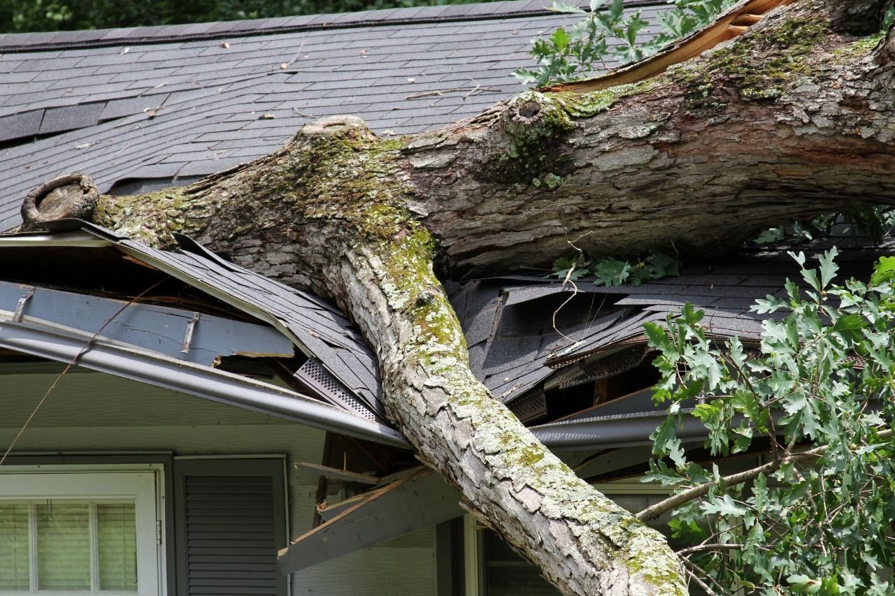What If the Damage Was Caused by a Storm