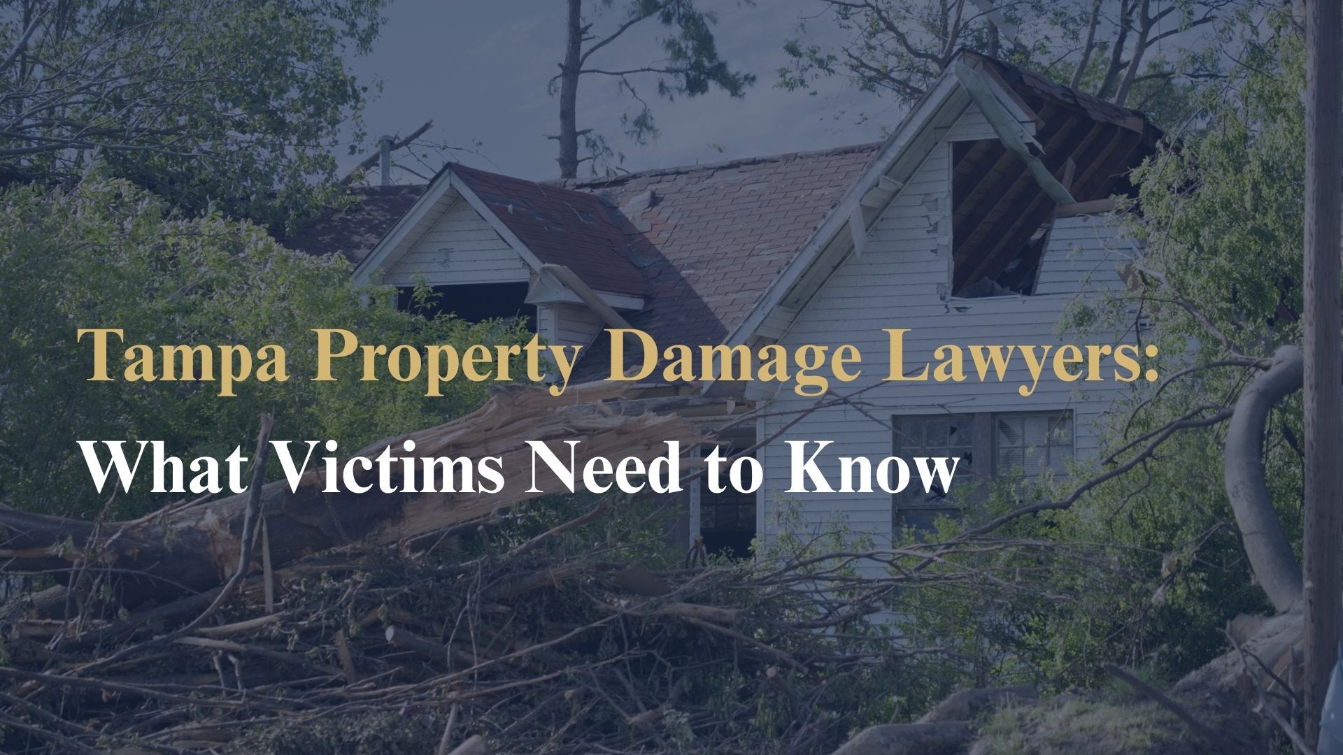 Tampa Property Damage Lawyers: What Victims Need to Know