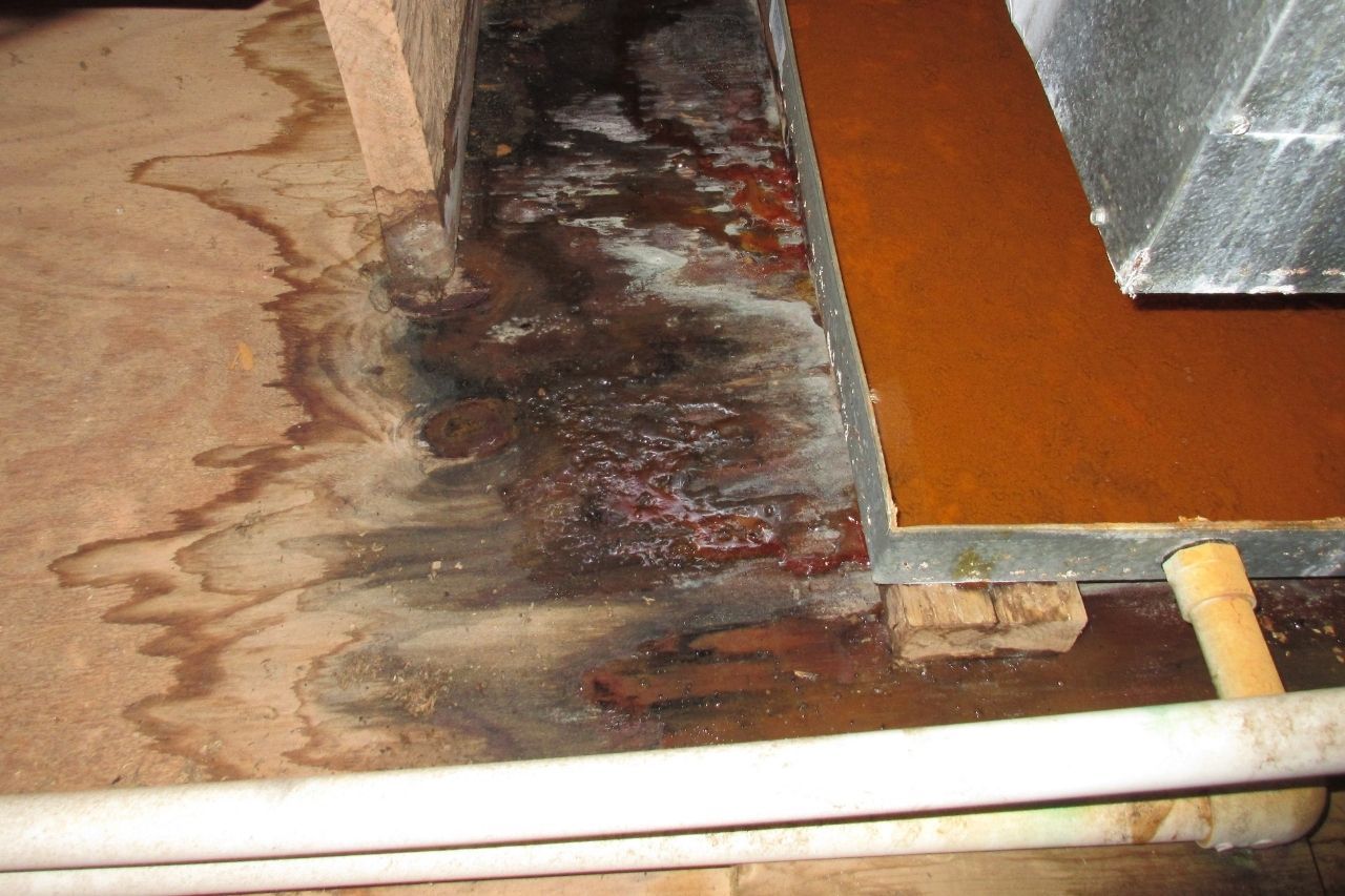 Water Damage Restoration