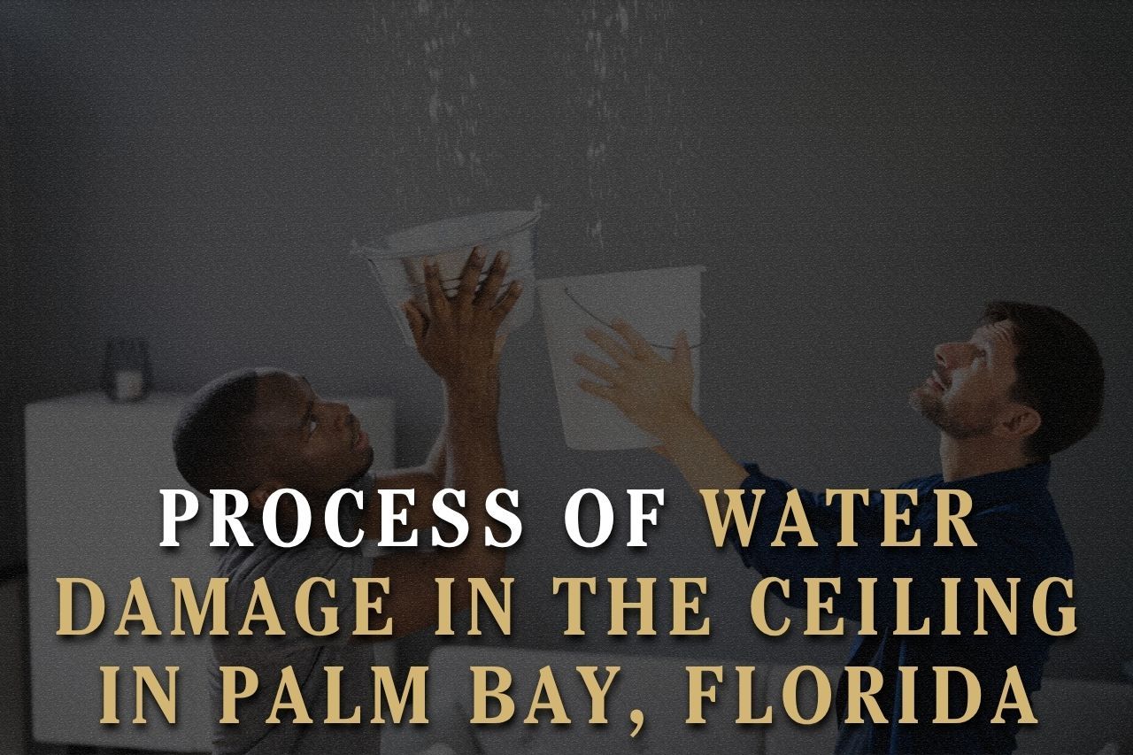 Process of Water Damage in the Ceiling in Palm Bay, Florida