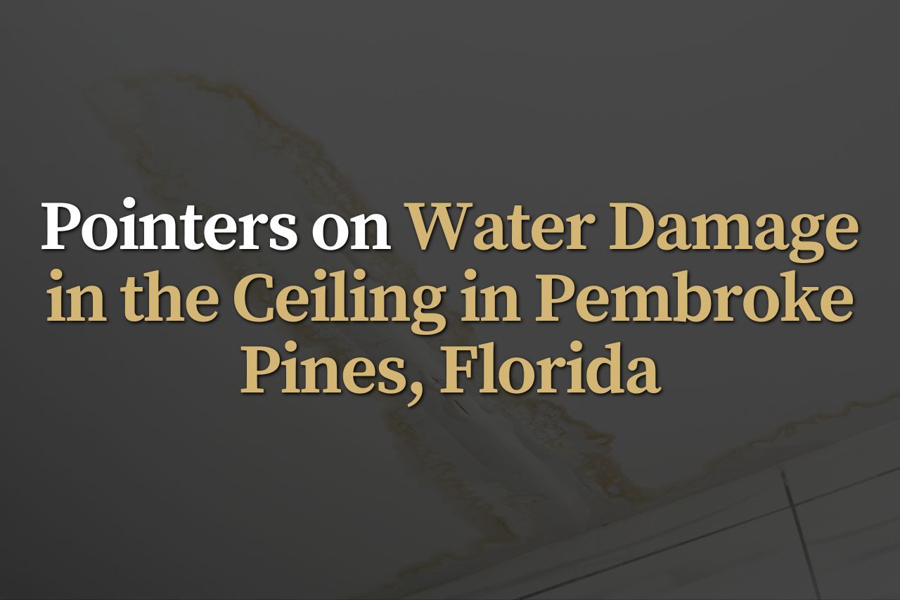 Pointers on Water Damage in the Ceiling in Pembroke Pines, Florida