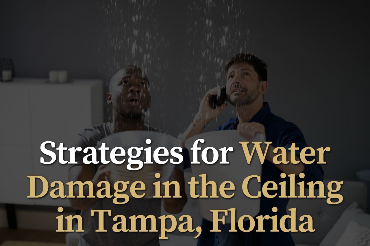 Strategies for Water Damage in the Ceiling in Tampa, Florida