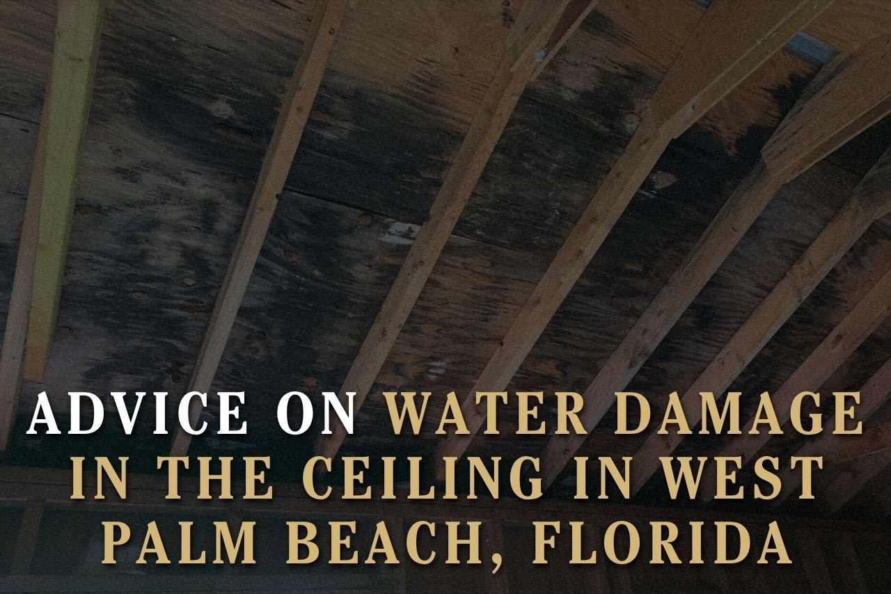 Advice on Water Damage in the Ceiling in West Palm Beach, Florida