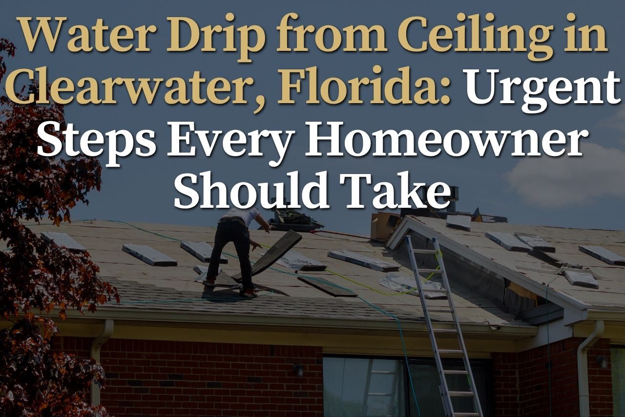 Water Drip from Ceiling in Clearwater, Florida: Urgent Steps Every Homeowner Should Take