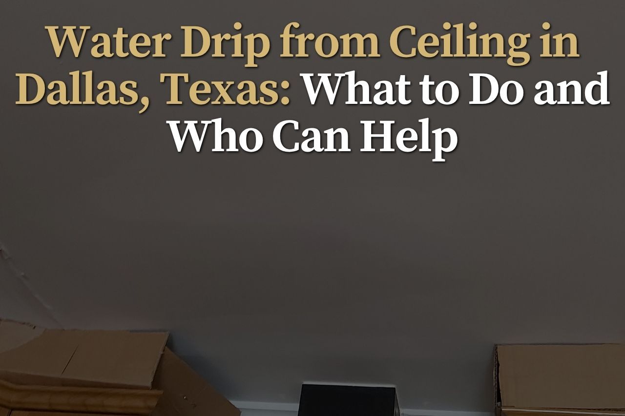 Water Drip from Ceiling in Dallas, Texas: What to Do and Who Can Help