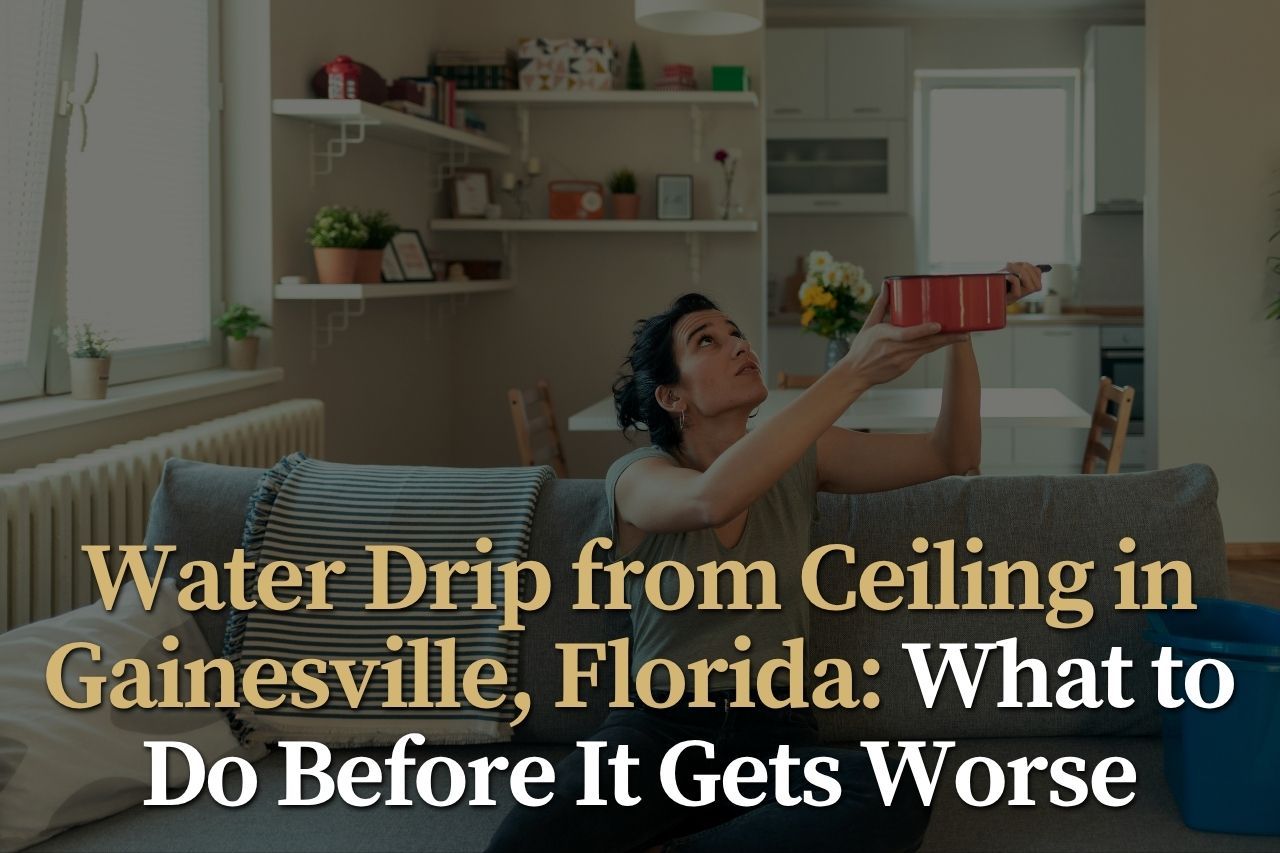 Water Drip from Ceiling in Gainesville, Florida: What to Do Before It Gets Worse