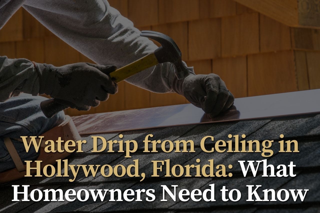Water Drip from Ceiling in Hollywood, Florida: What Homeowners Need to Know