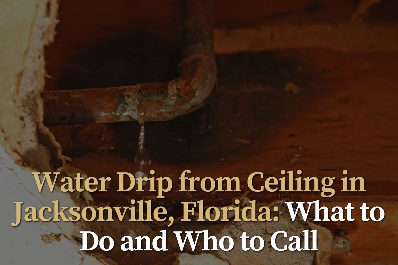 Water Drip from Ceiling in Jacksonville, Florida: What to Do and Who to Call
