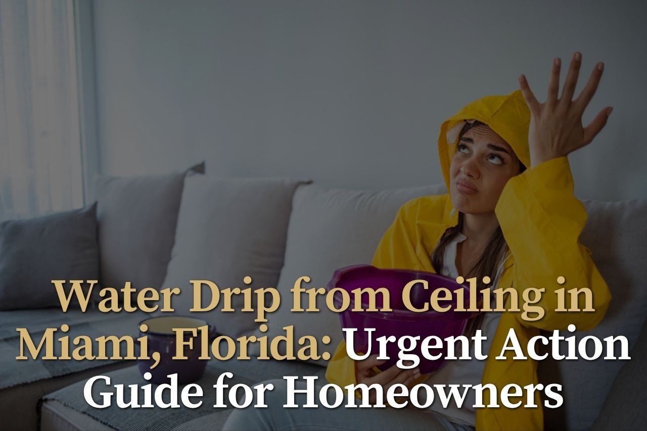 Water Drip from Ceiling in Miami, Florida: Urgent Action Guide for Homeowners