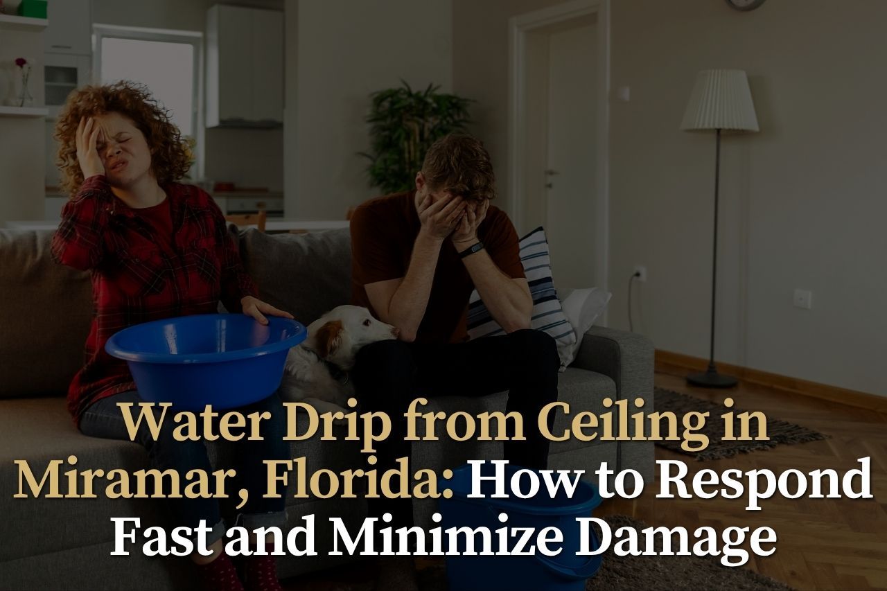 Water Drip from Ceiling in Miramar, Florida: How to Respond Fast and Minimize Damage