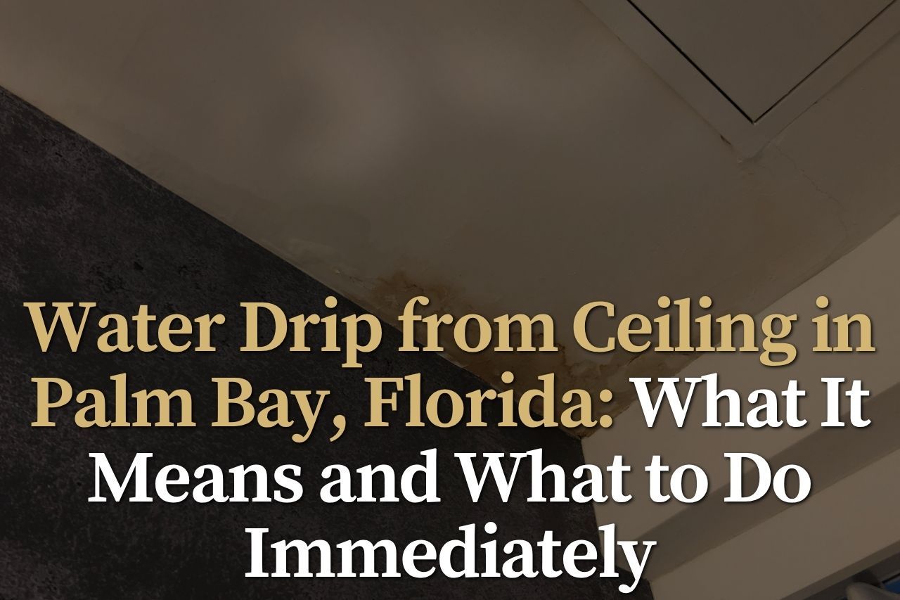 Water Drip from Ceiling in Palm Bay, Florida: What It Means and What to Do Immediately