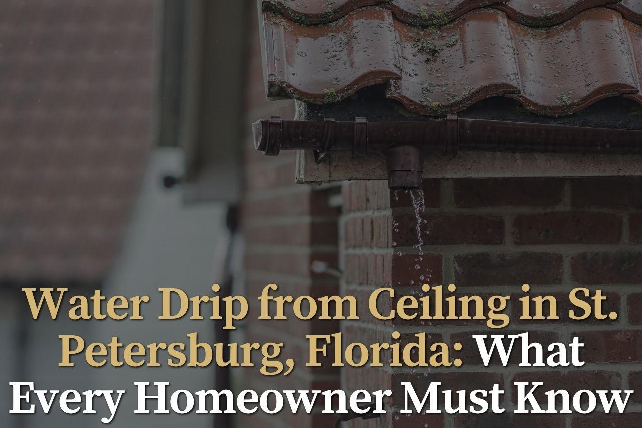 Water Drip from Ceiling in St. Petersburg, Florida: What Every Homeowner Must Know