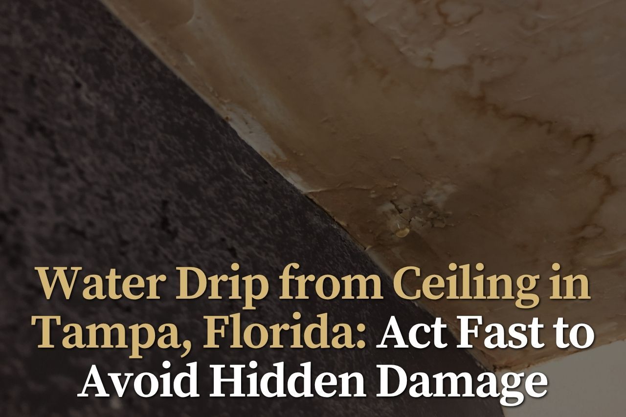 Water Drip from Ceiling in Tampa, Florida: Act Fast to Avoid Hidden Damage