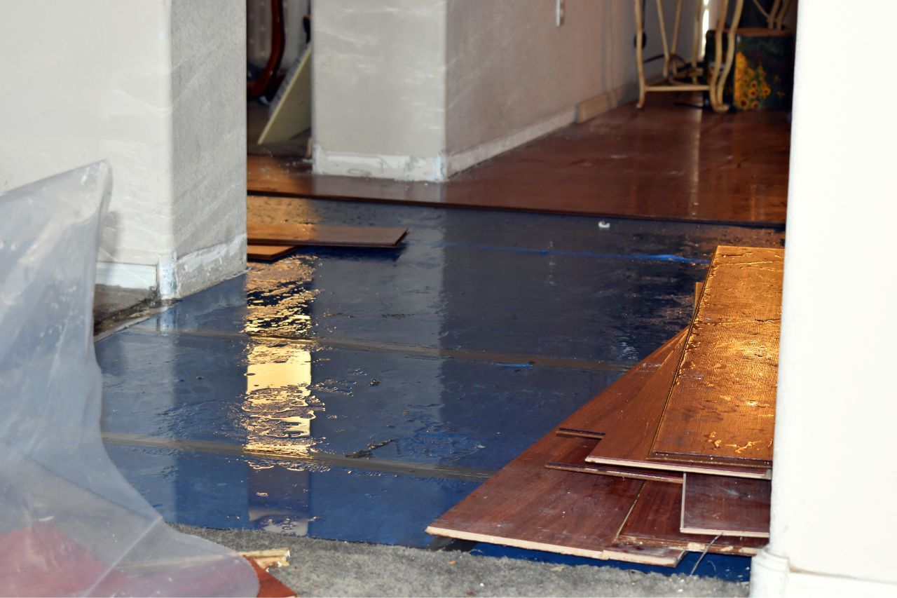 Water House Damage