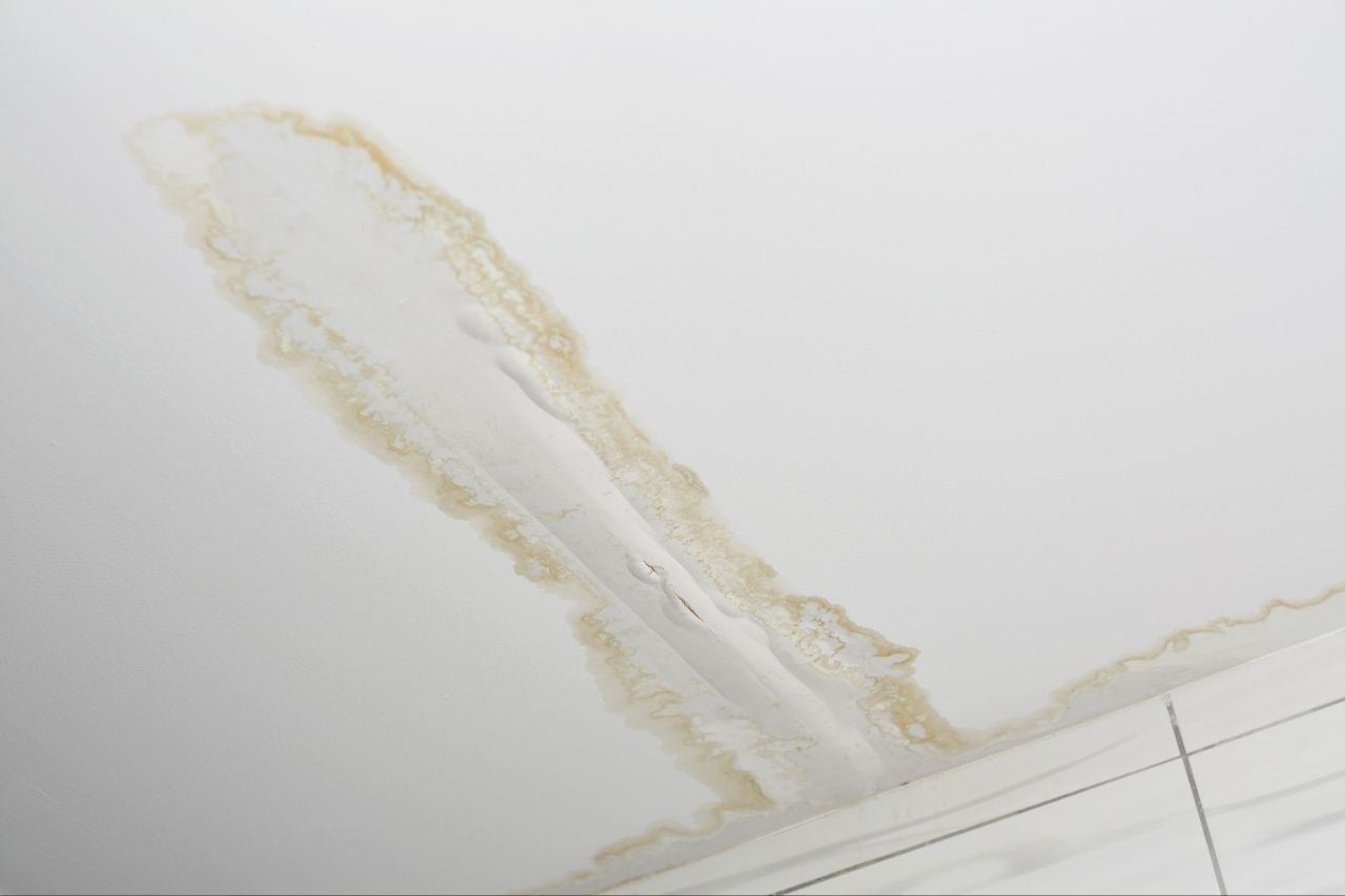 What to Do Immediately in Water Leak from Ceiling in Tampa