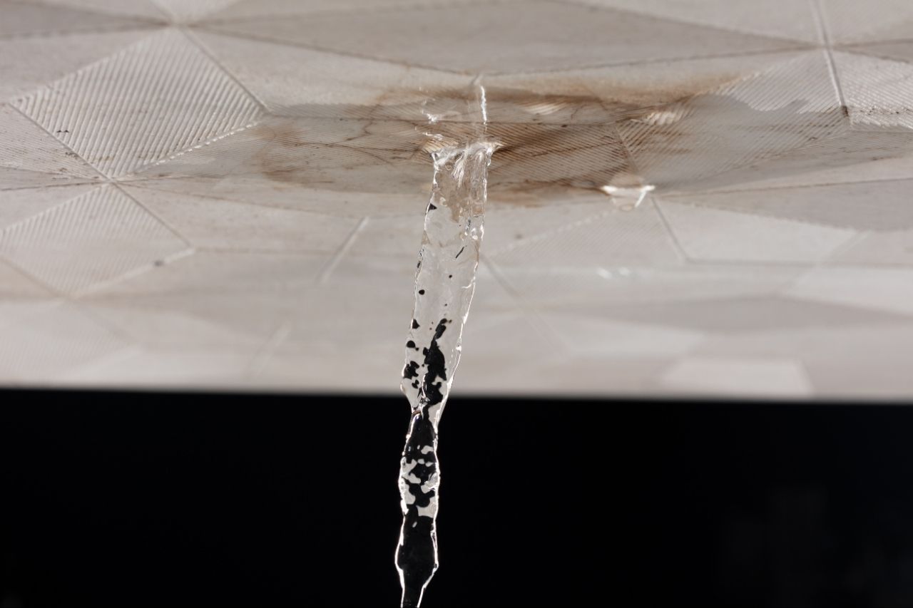 Immediate Steps to Take in Water Leaking from Ceiling in Cape Coral