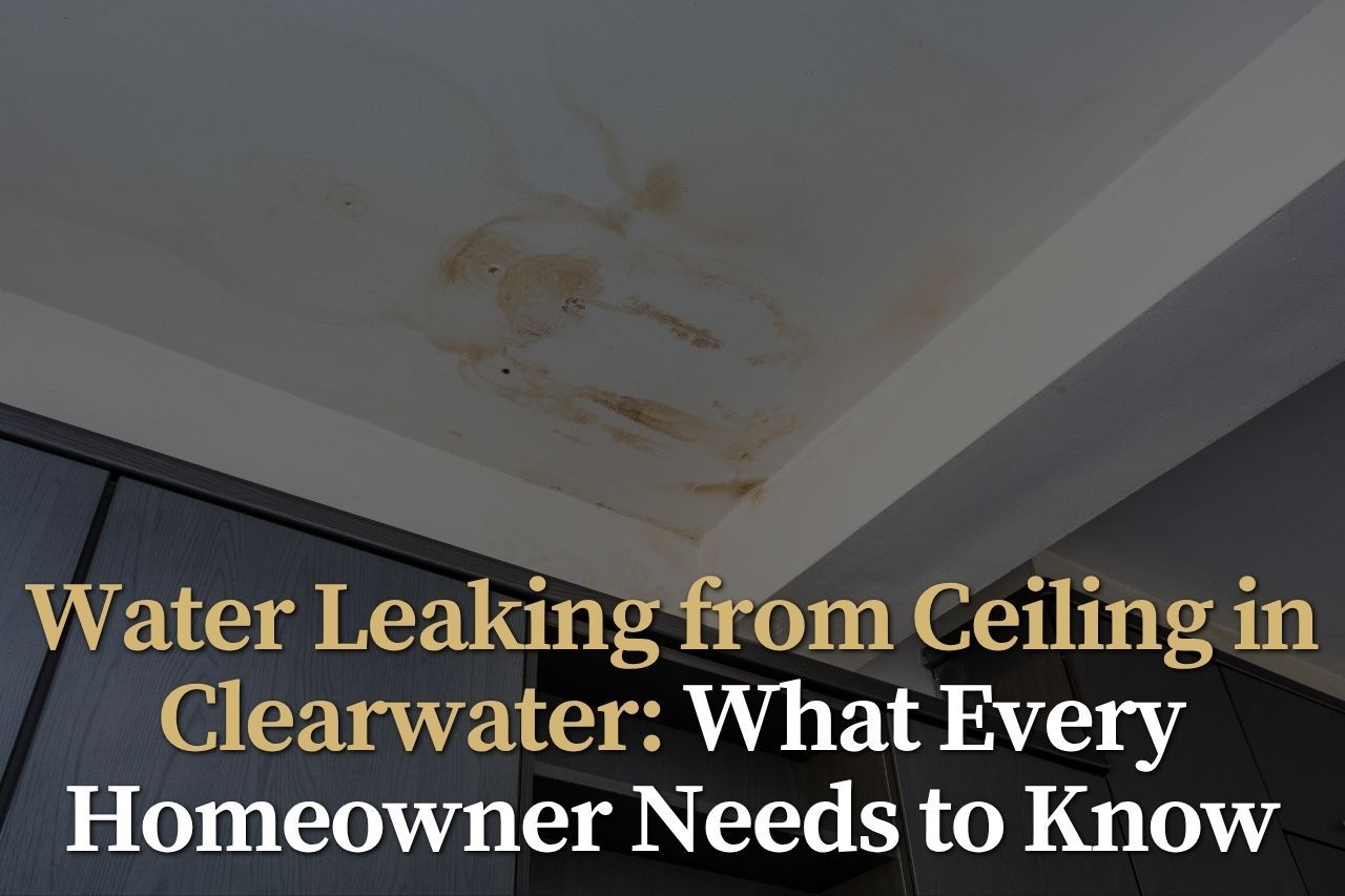 Water Leaking from Ceiling in Clearwater: What Every Homeowner Needs to Know