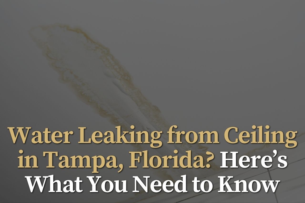 Water Leaking from Ceiling in Tampa, Florida? Here’s What You Need to Know