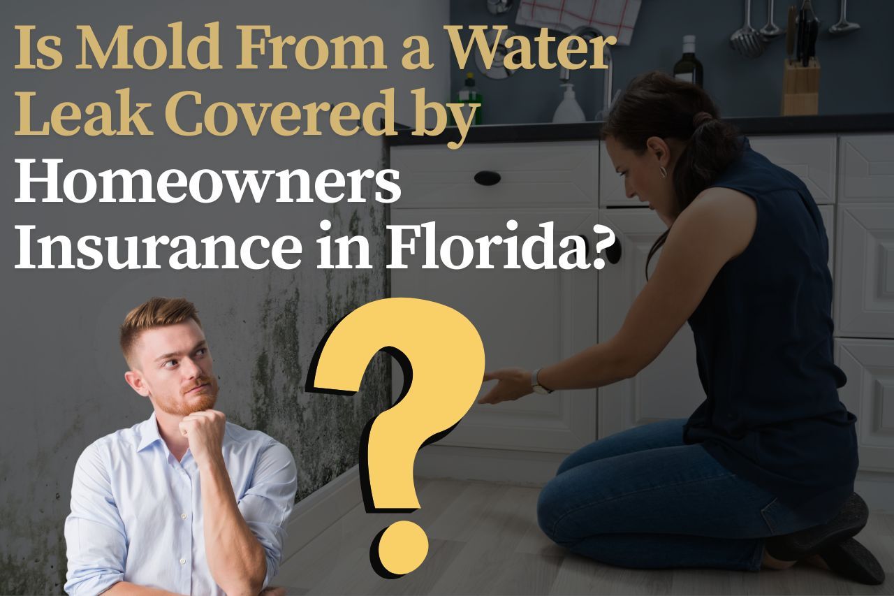 Is Mold From a Water Leak Covered by Homeowners Insurance in Florida?