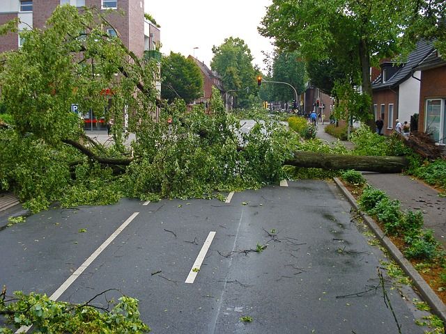Hurricane Damage